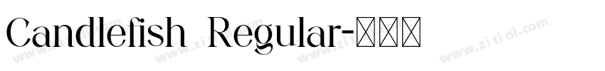 Candlefish Regular字体转换